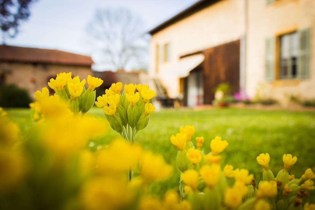 Aux Ronzieres Bed & Breakfast Pouilly-sous-Charlieu Cameră foto